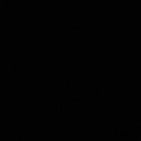 Meet your Posher, Zion - Picture 1 of 1